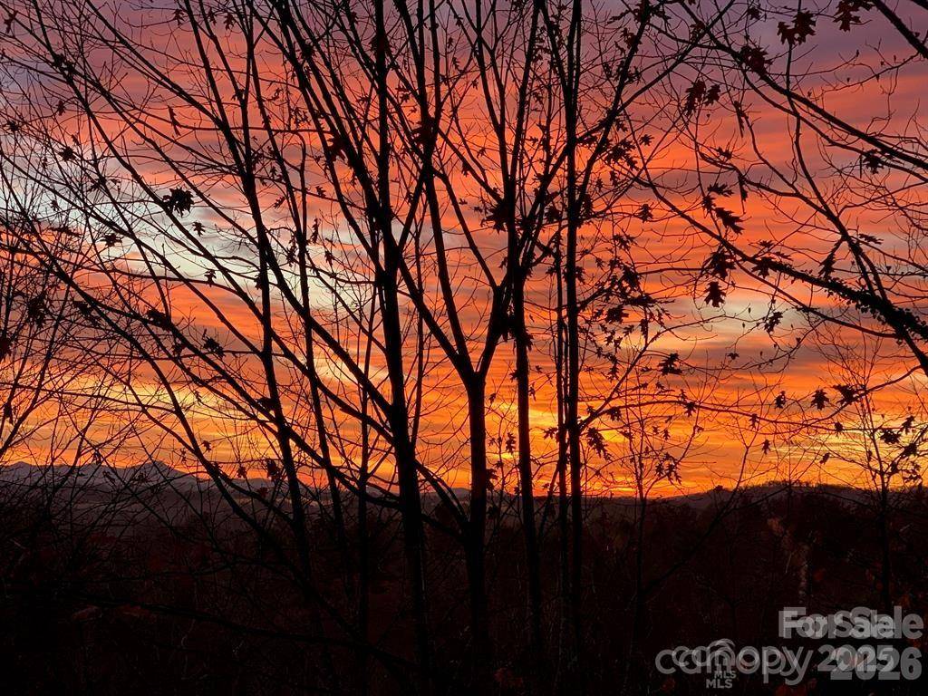 180 High Road Overlook, Hendersonville, NC 28739