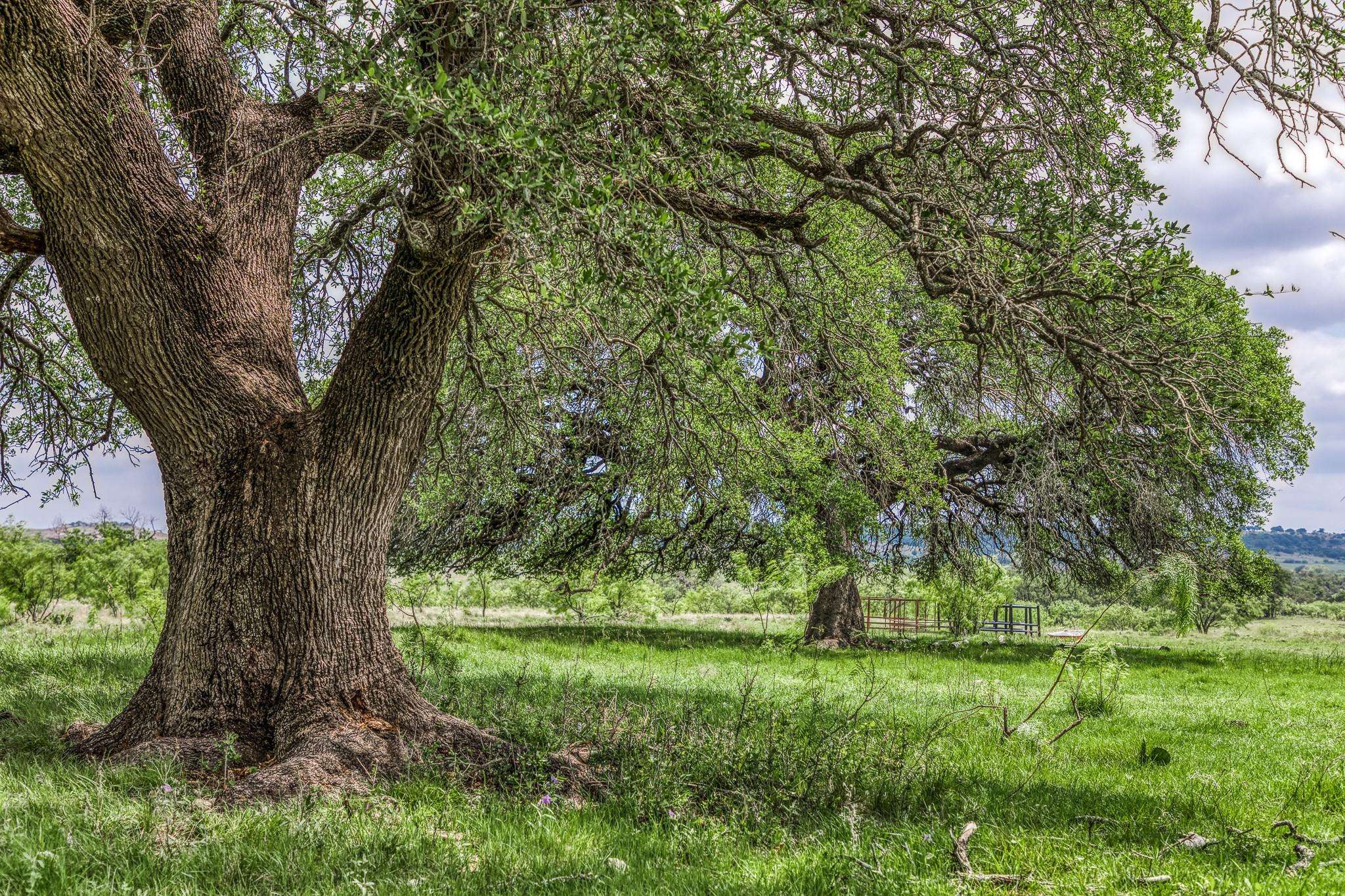 00 County Road 333, Goldthwaite, TX 76844