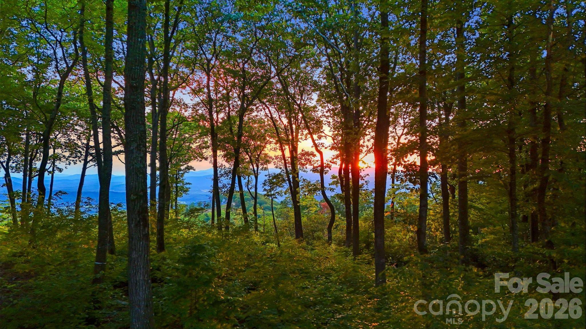 0 Mountain Grove LN #Lot 68, Fletcher, NC 28732