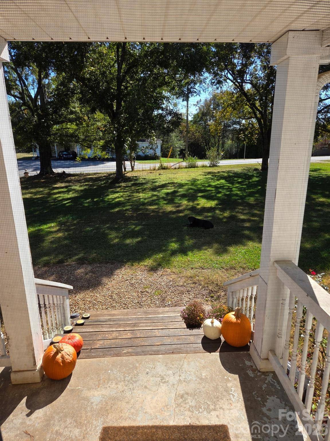 923 Green Creek DR, Columbus, NC 28722