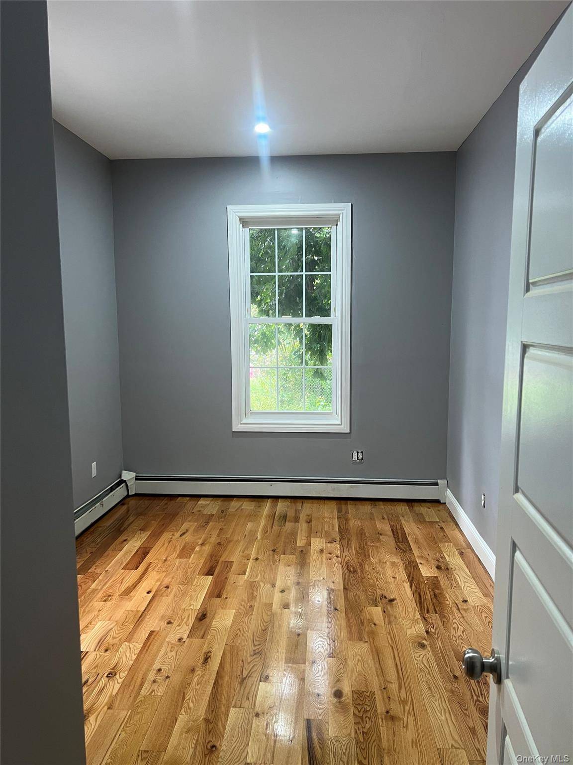 334 Bradford, Brooklyn, NY 11207