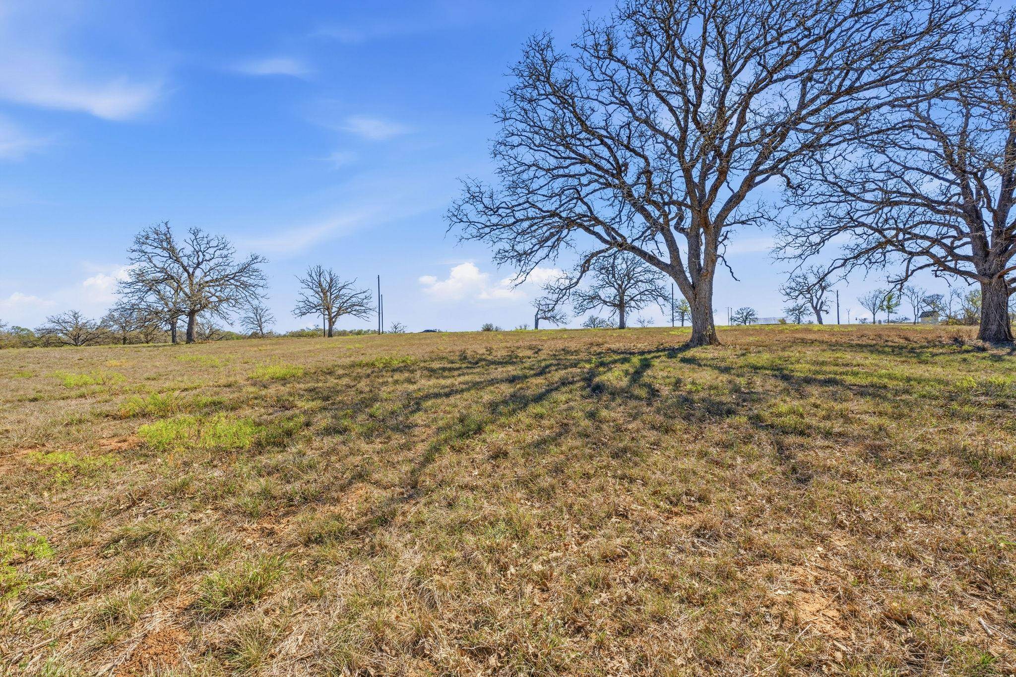 TBD New Moon CT, Red Rock, TX 78662