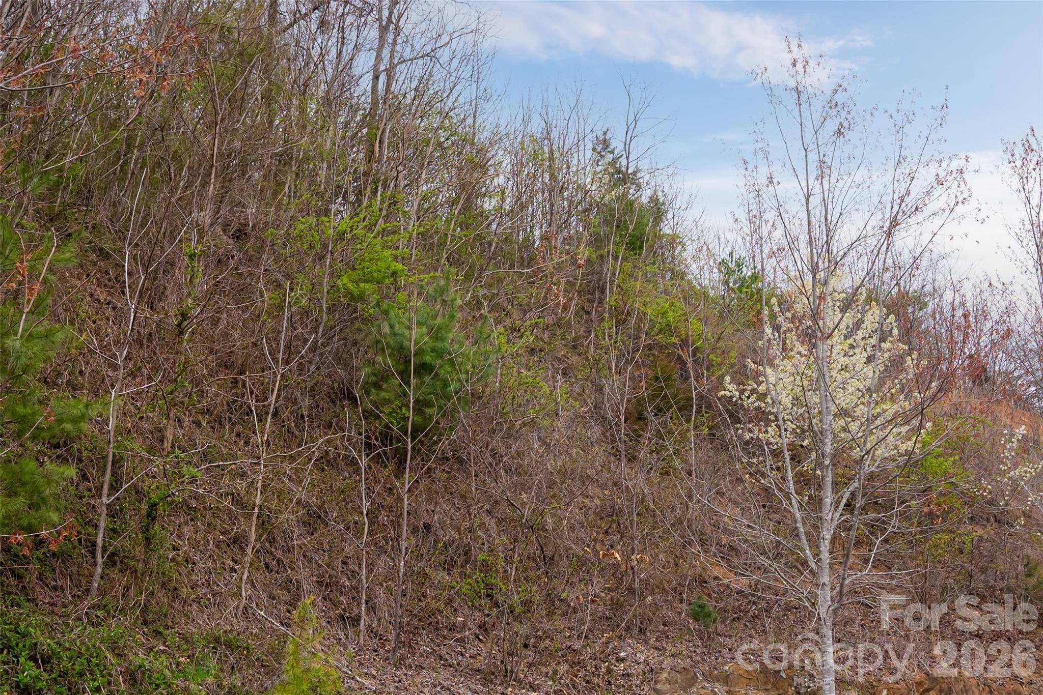 12 Grovepoint WAY, Asheville, NC 28804
