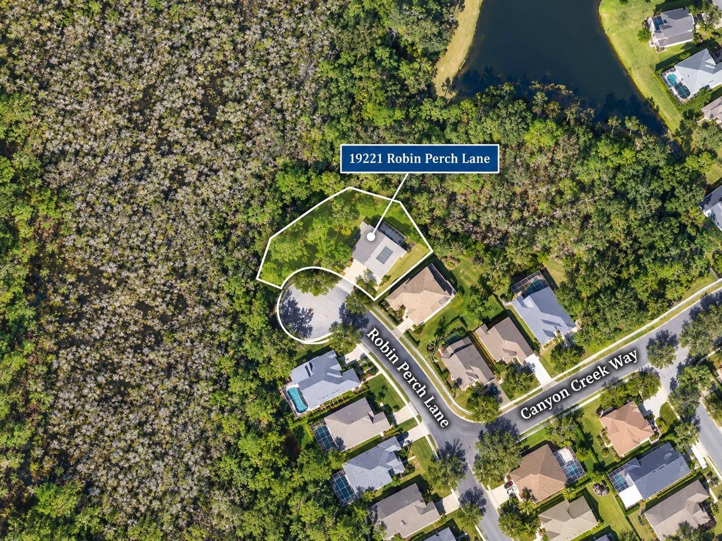 19221 ROBIN PERCH LN, Tampa, FL 33647