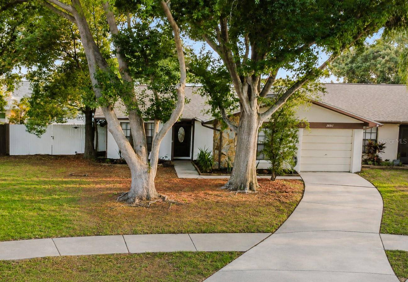 2031 DOVER CT, Oldsmar, FL 34677