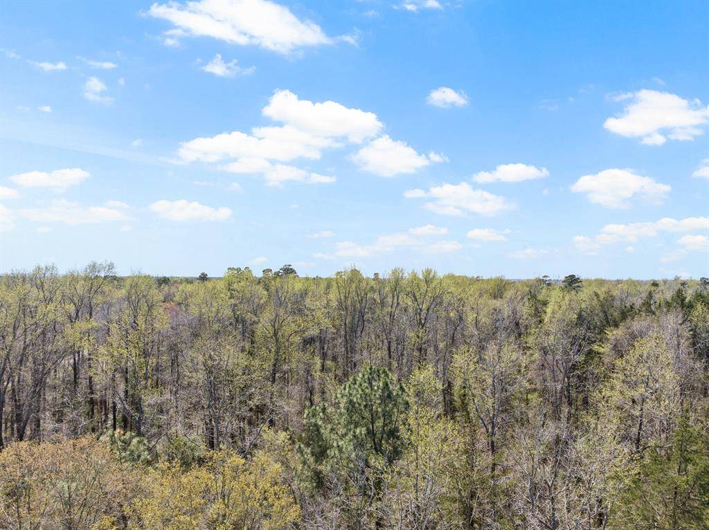 Lot 3 CR 4365, Mount Pleasant, TX 75455