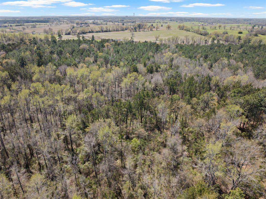 Lot 3 CR 4365, Mount Pleasant, TX 75455