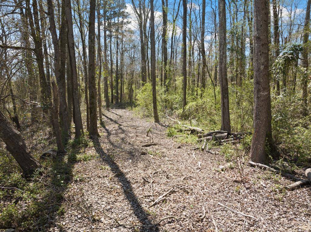 Lot 5 CR 4365, Mount Pleasant, TX 75455