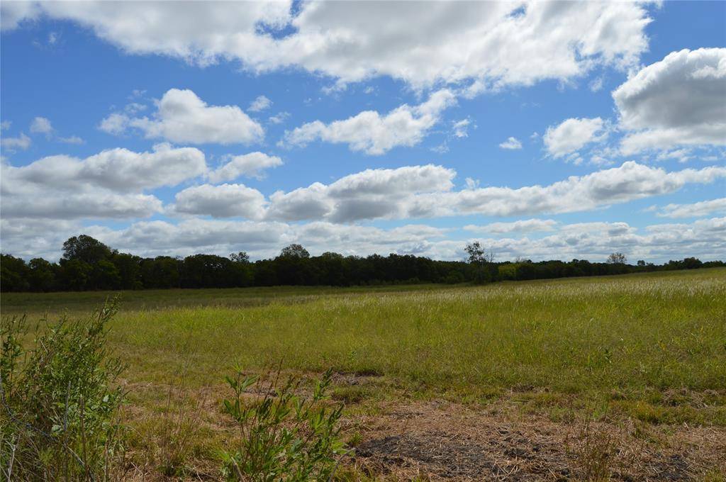 TBD CR 2068, Klondike, TX 75448