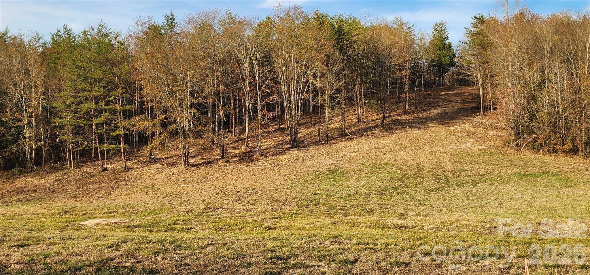 151 Cobb RD, Blacksburg, SC 29702