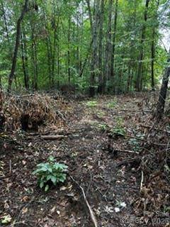 7668 Long Bay Pkwy, Catawba, NC 28609