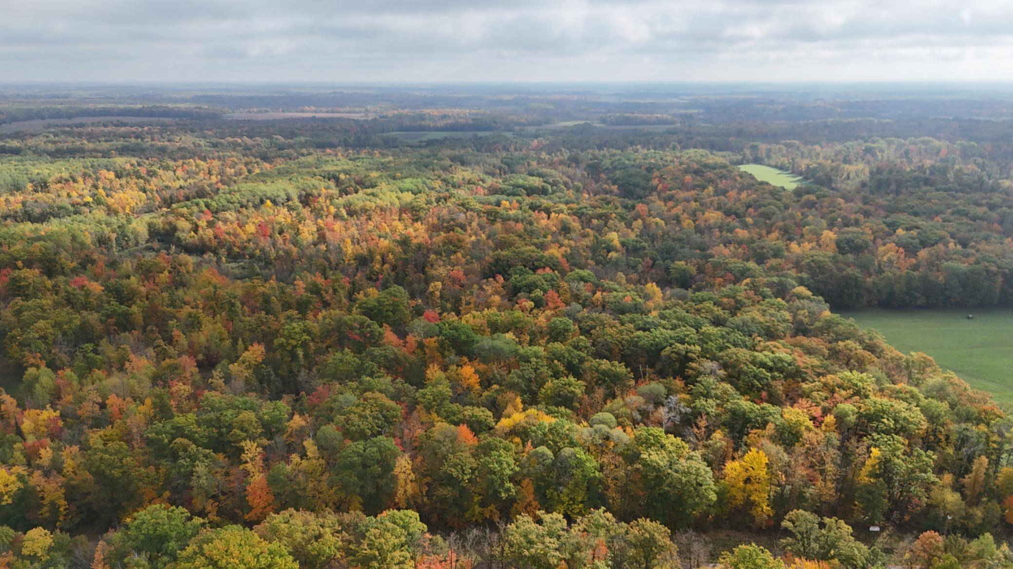 TBD Skyview ST, Brook Park, MN 55007