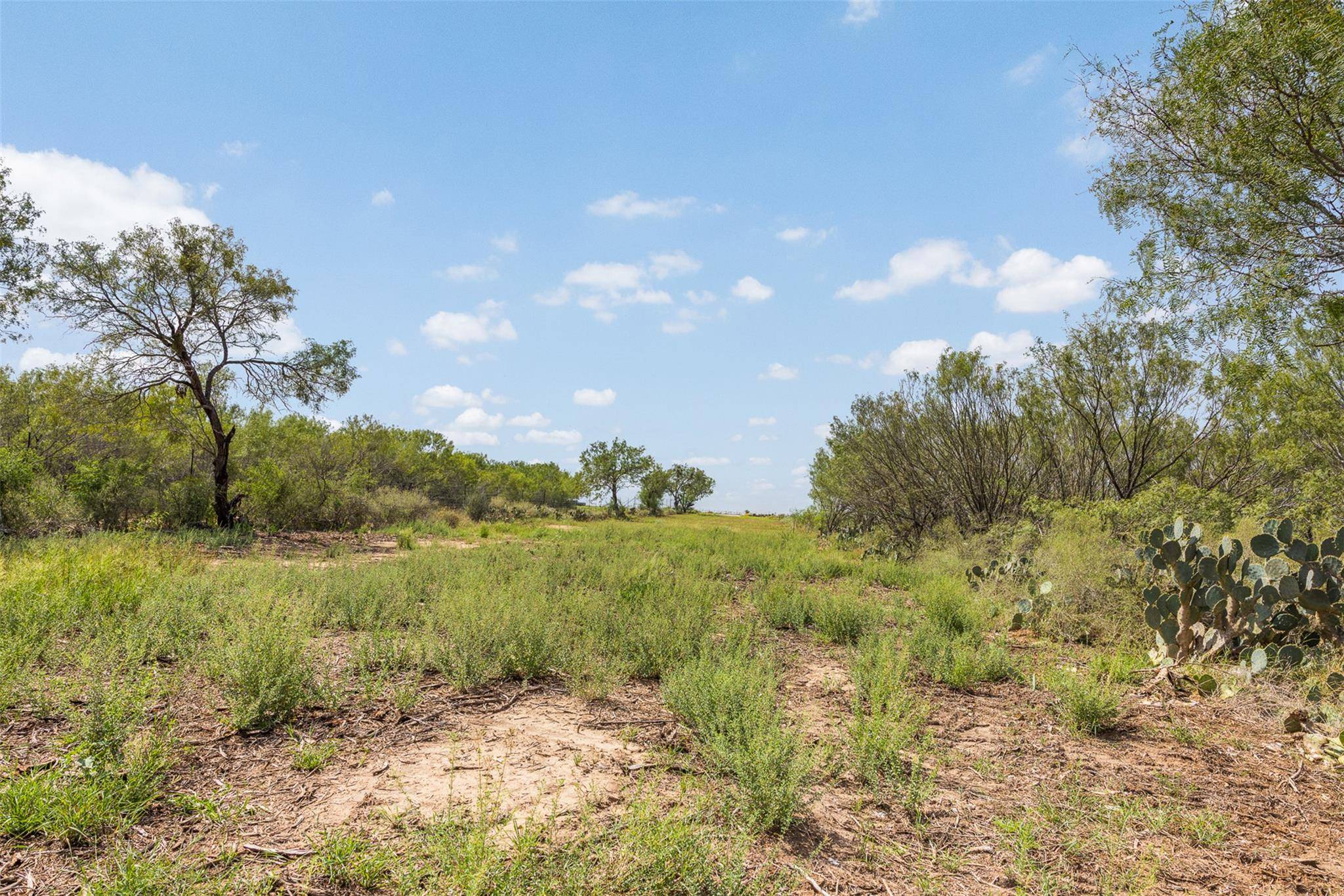 3624 County Road 304, Jourdanton, TX 78026