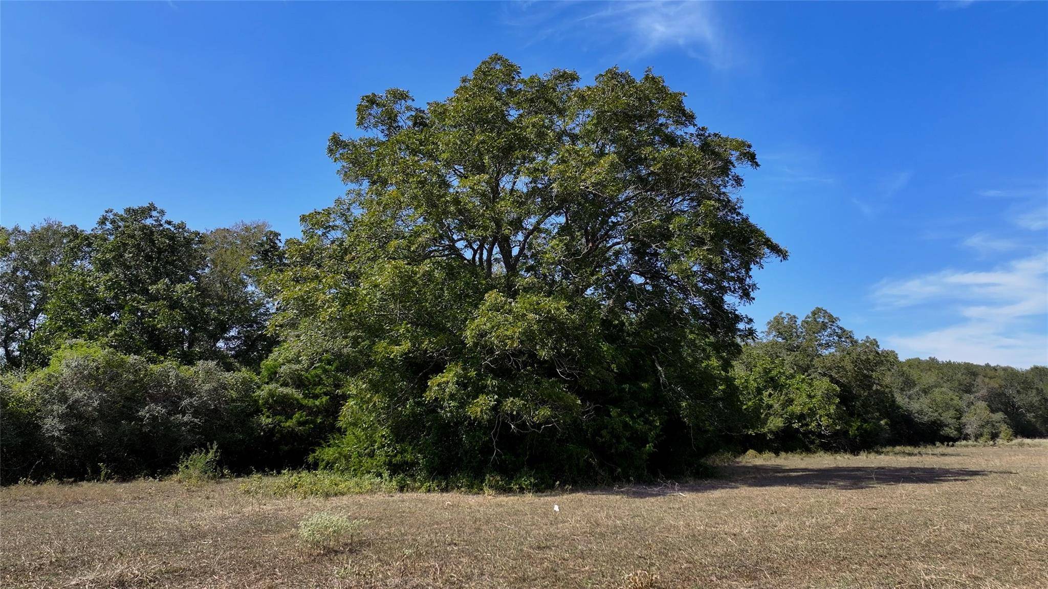 TBD Highway 71 HWY, Fayetteville, TX 78940