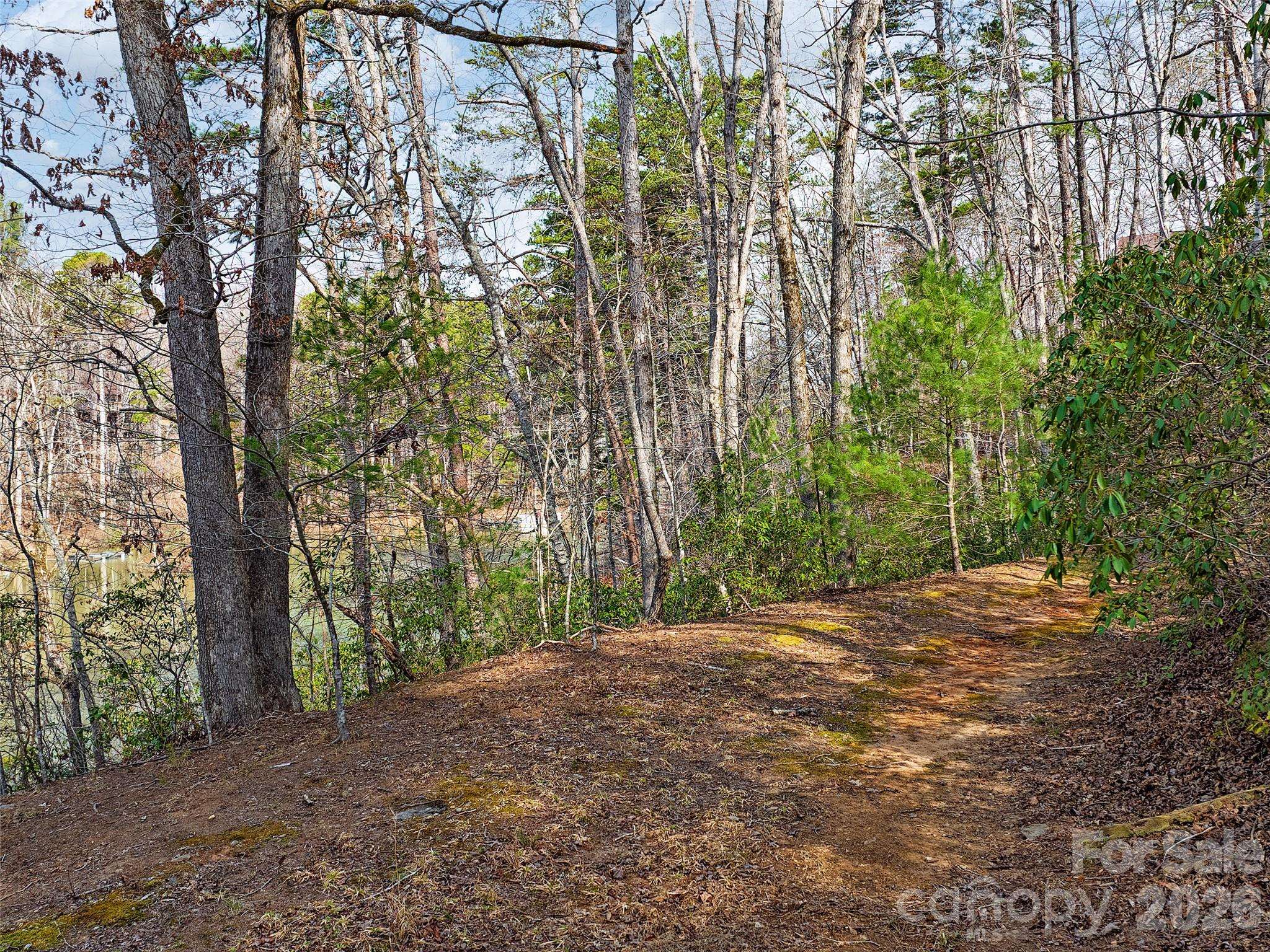 Lot 27 South Cove RD, Mill Spring, NC 28756
