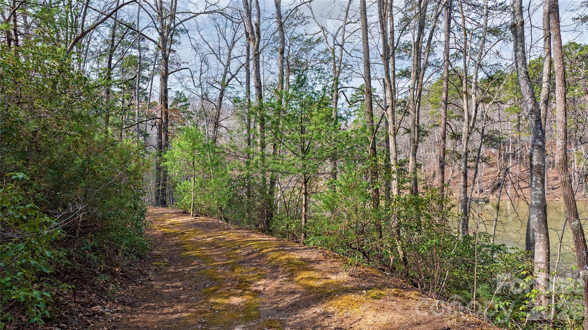 Lot 27 South Cove RD, Mill Spring, NC 28756