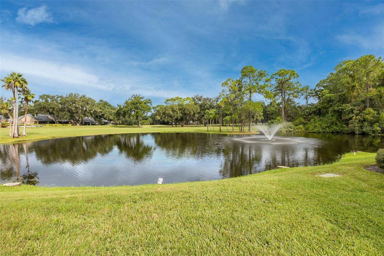 3637 DOWNFIELD PL, New Port Richey, FL 34655