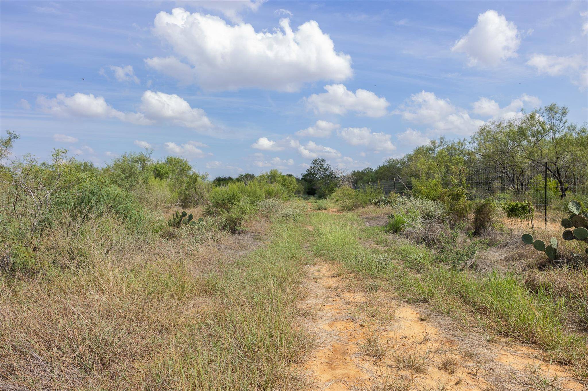 3650 County Road 304, Jourdanton, TX 78026