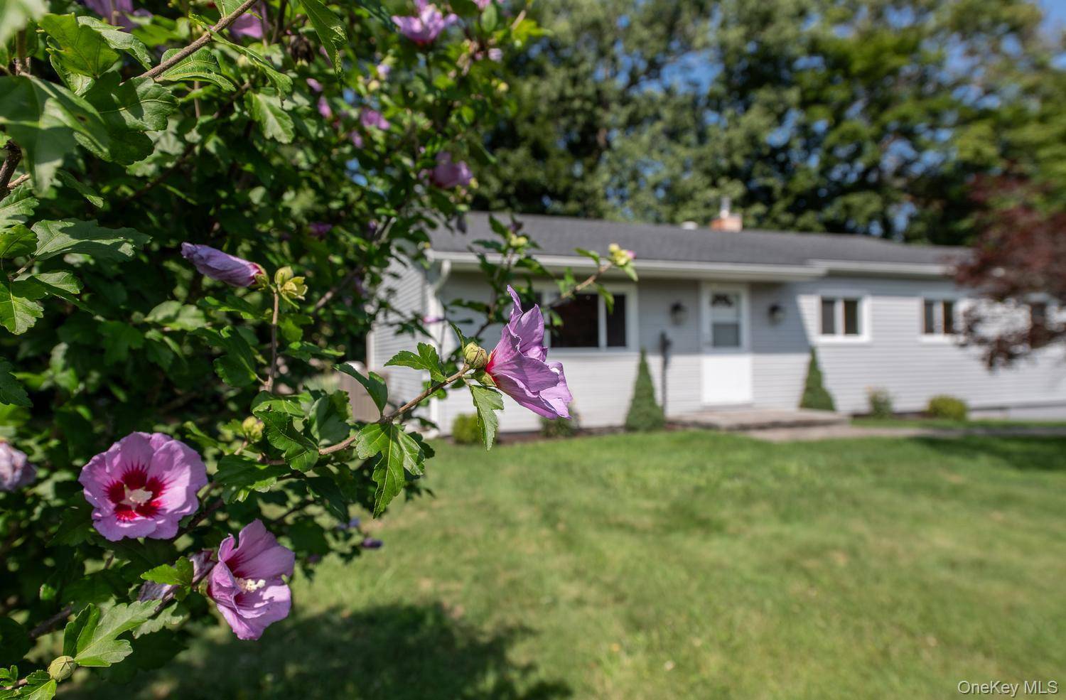 16 Trinity PL, Rhinebeck, NY 12572
