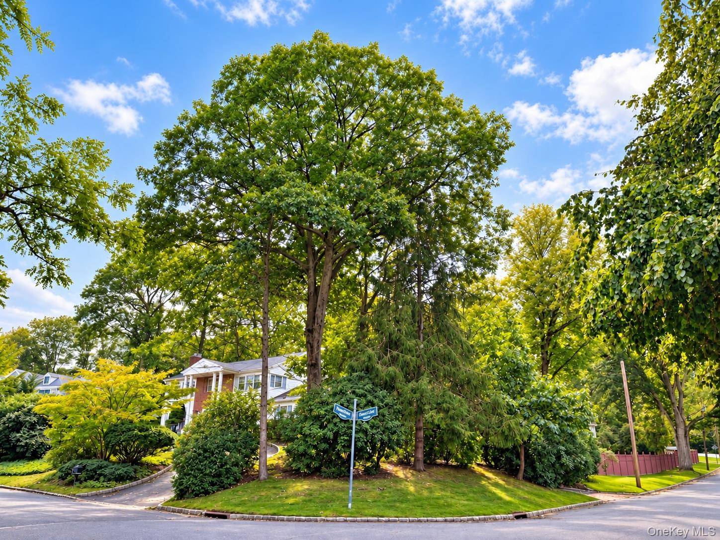 39 Orchard CT, Woodbury, NY 11797