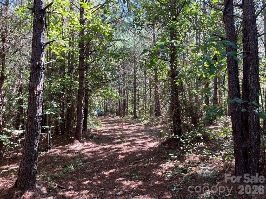 0 Pearidge RD #7, Bostic, NC 28018