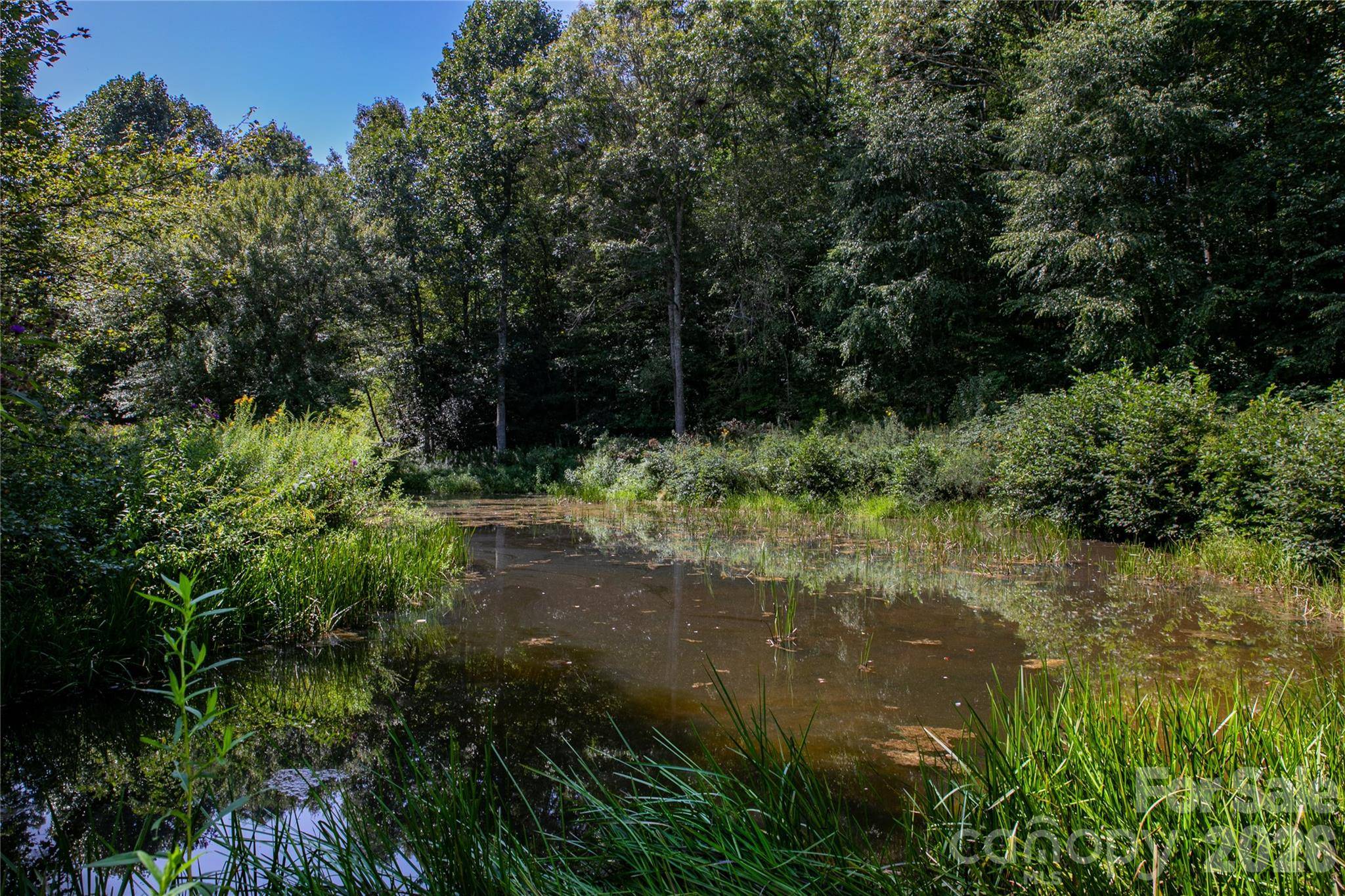 Lot 3 Sweetwater Ridge RD, Balsam Grove, NC 28708