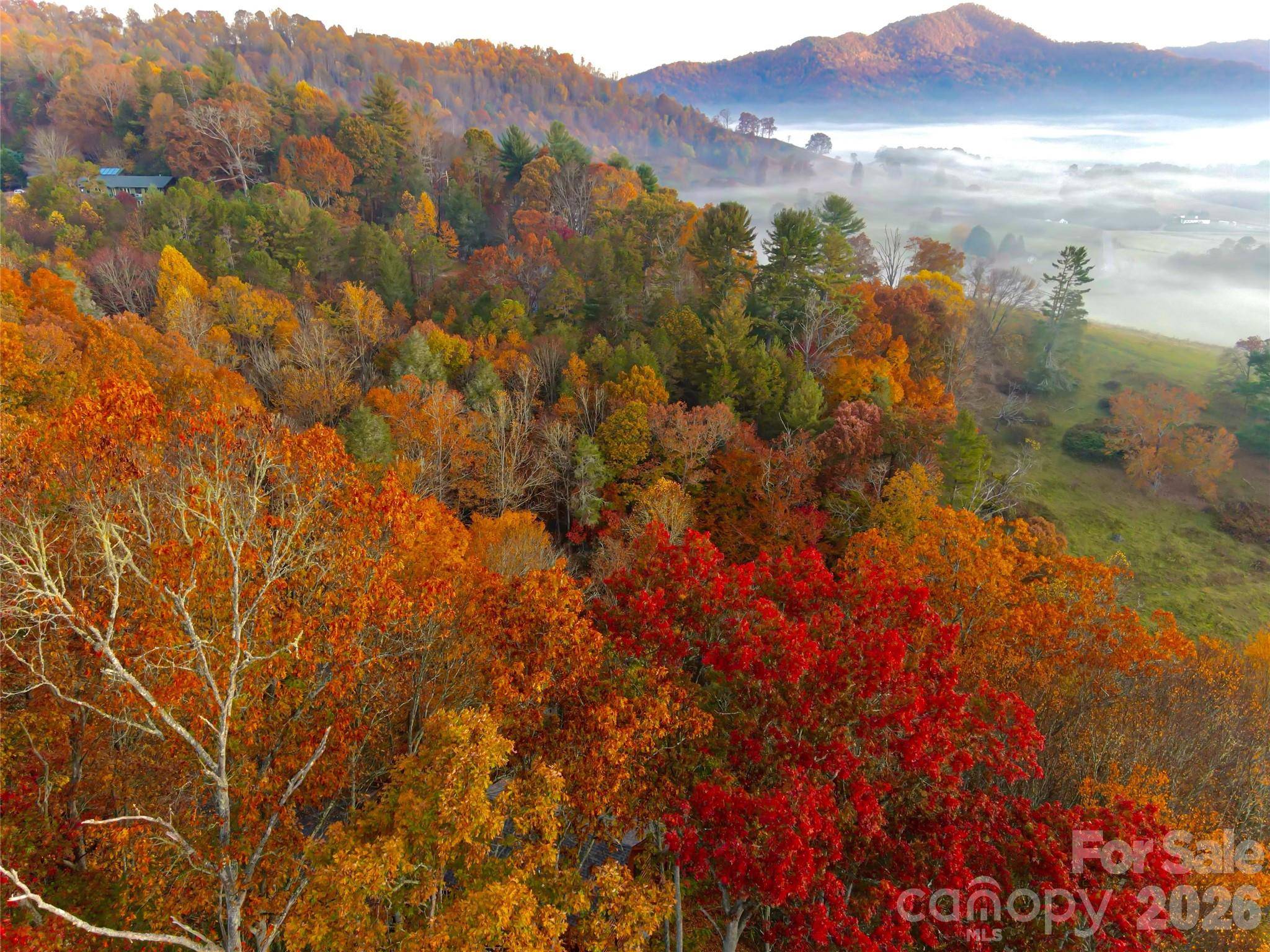 999 Coyote Hollow RD #39, Waynesville, NC 28785