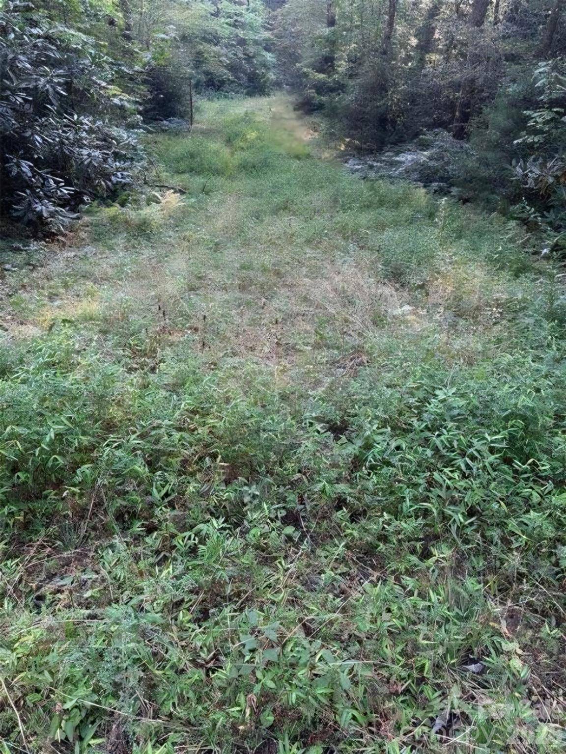 00 Beaumont DR, Cedar Mountain, NC 28718