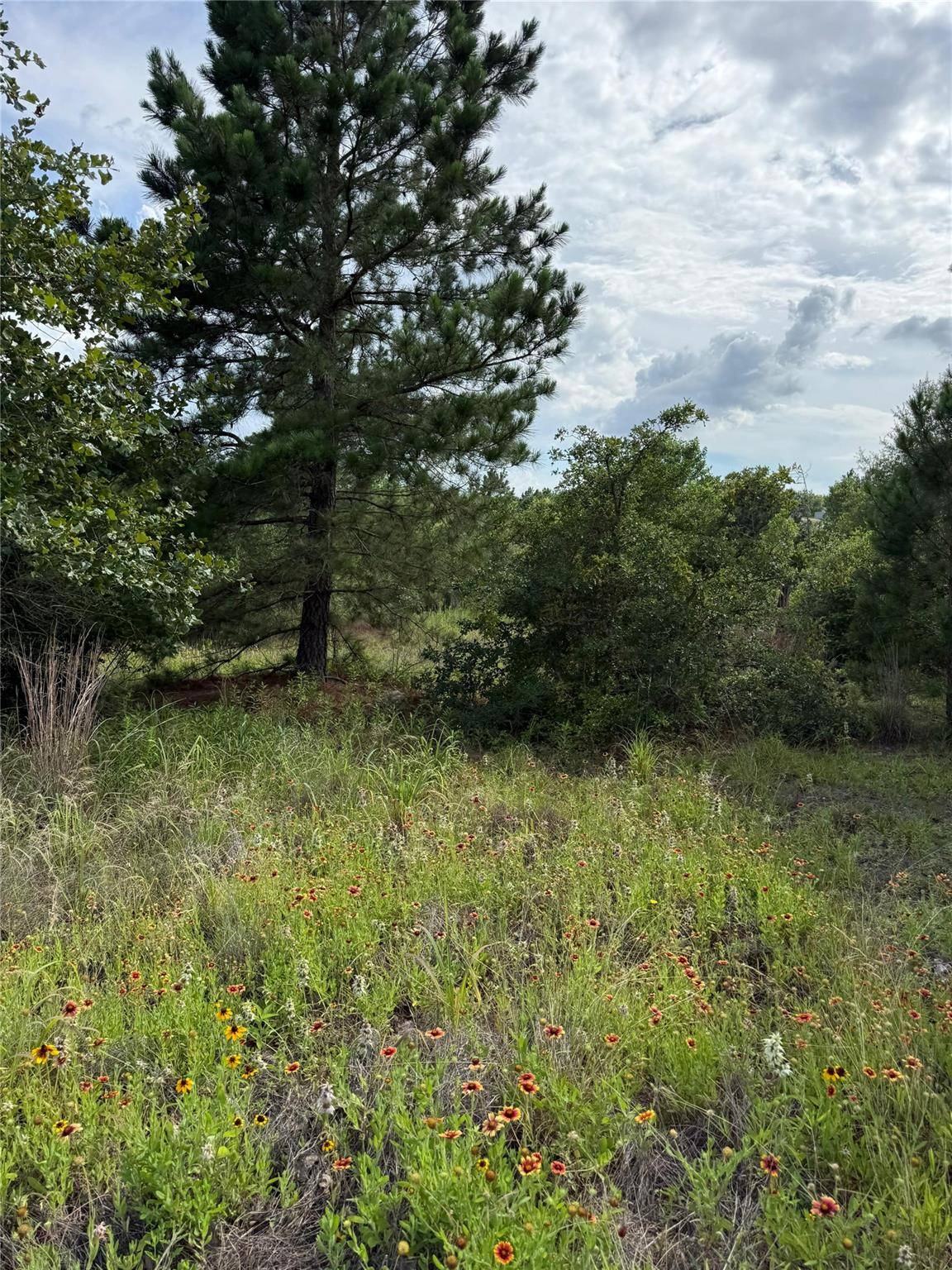 Lots 88, 89, 90 Pintail LN, Bastrop, TX 78602