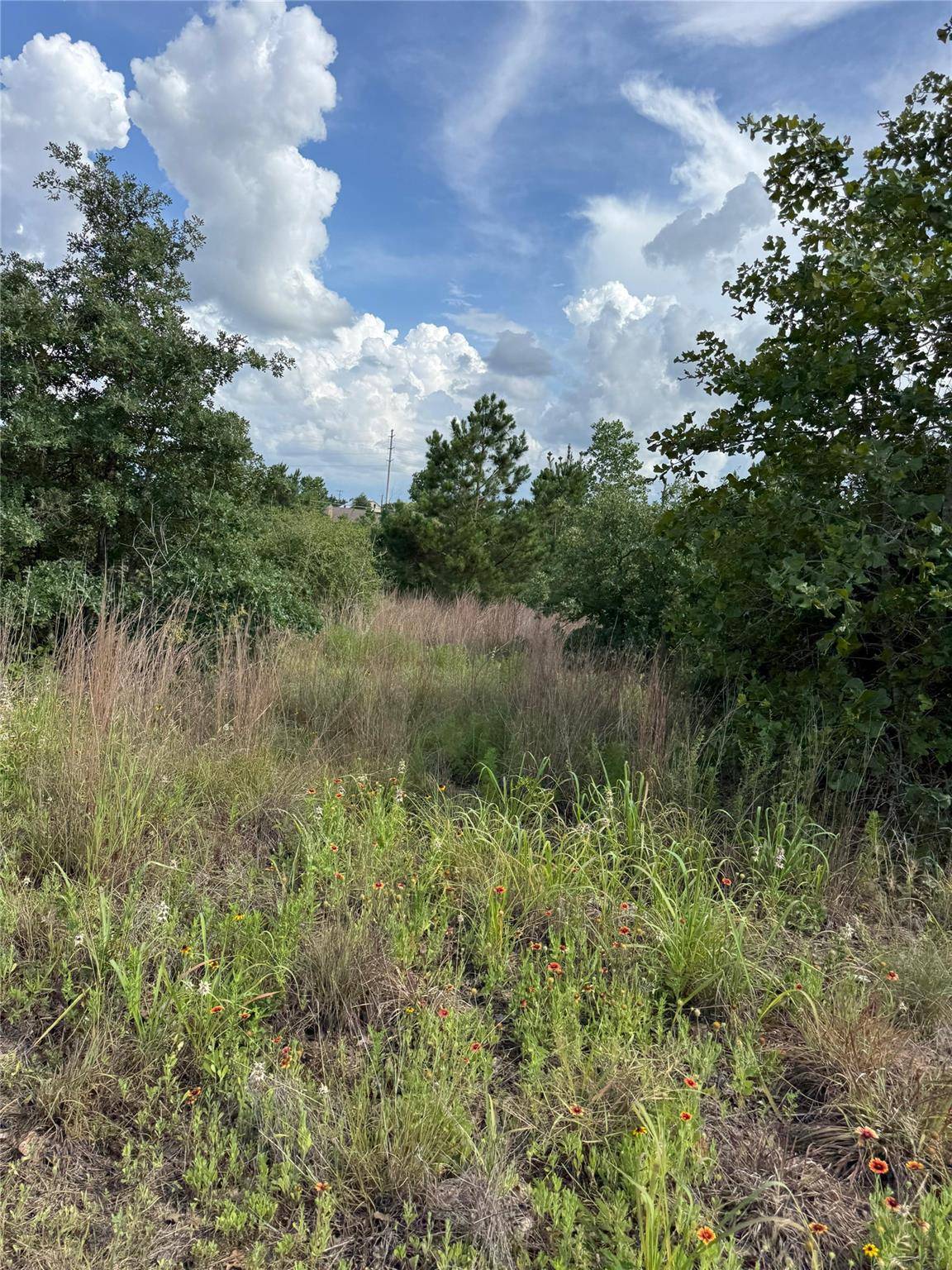 Lots 88, 89, 90 Pintail LN, Bastrop, TX 78602