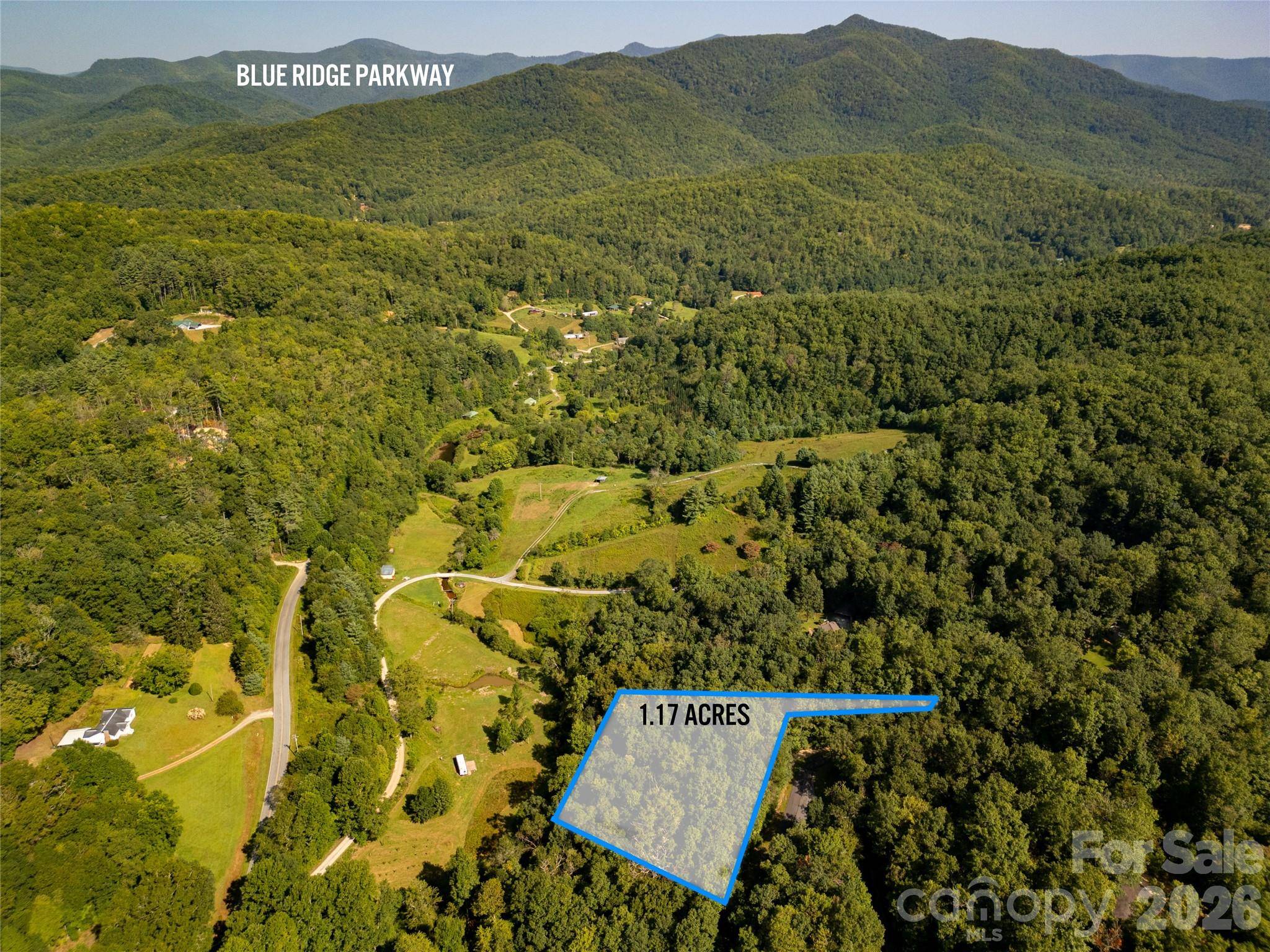 Lot 8 Sweetwater Ridge RD #8, Balsam Grove, NC 28708