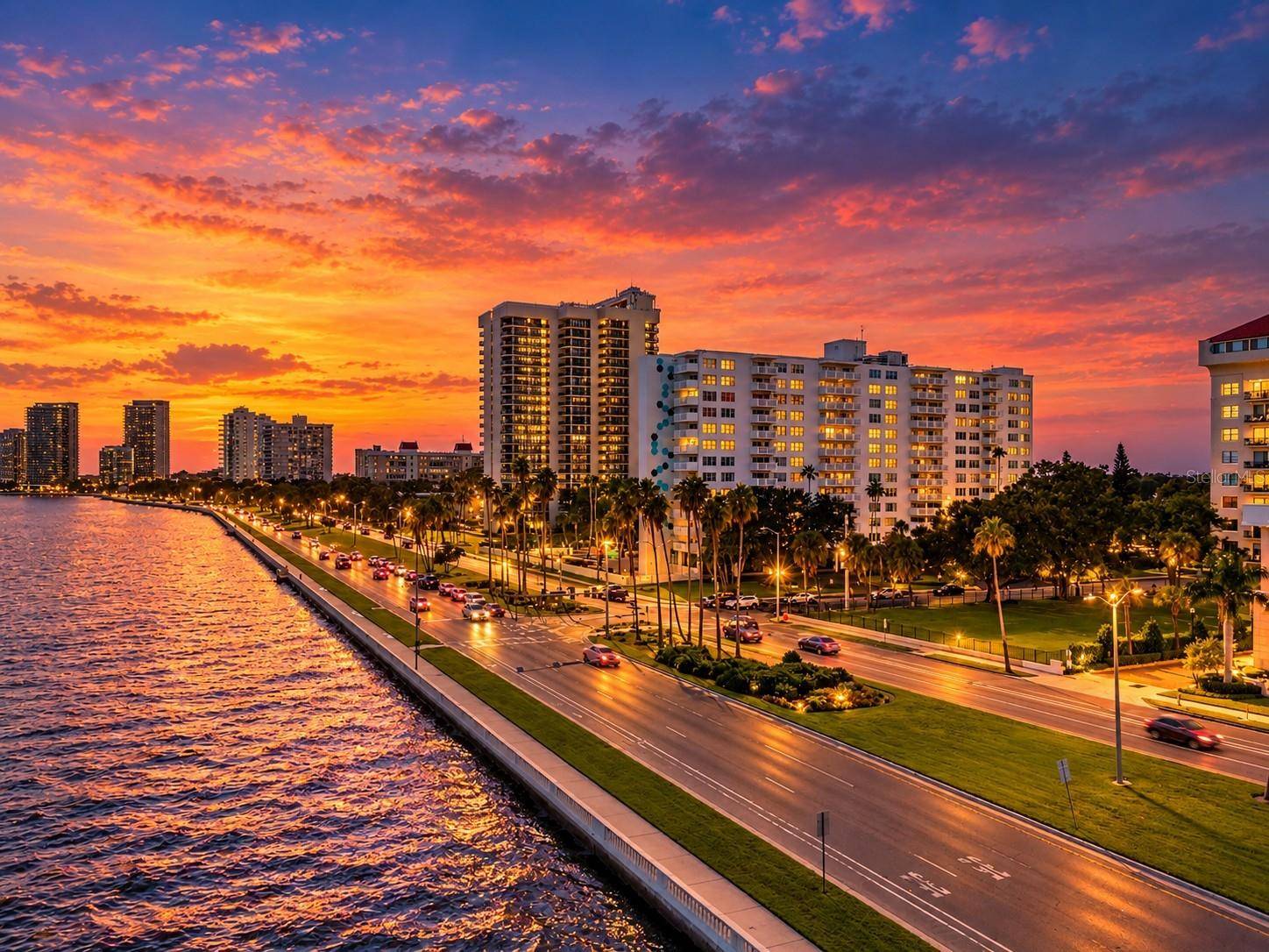 2401 BAYSHORE BLVD #212, Tampa, FL 33629