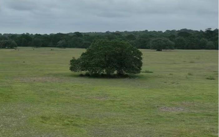 TBD CR 127 Lot 1, Block 2 County Road 127 RD, Ledbetter, TX 78946