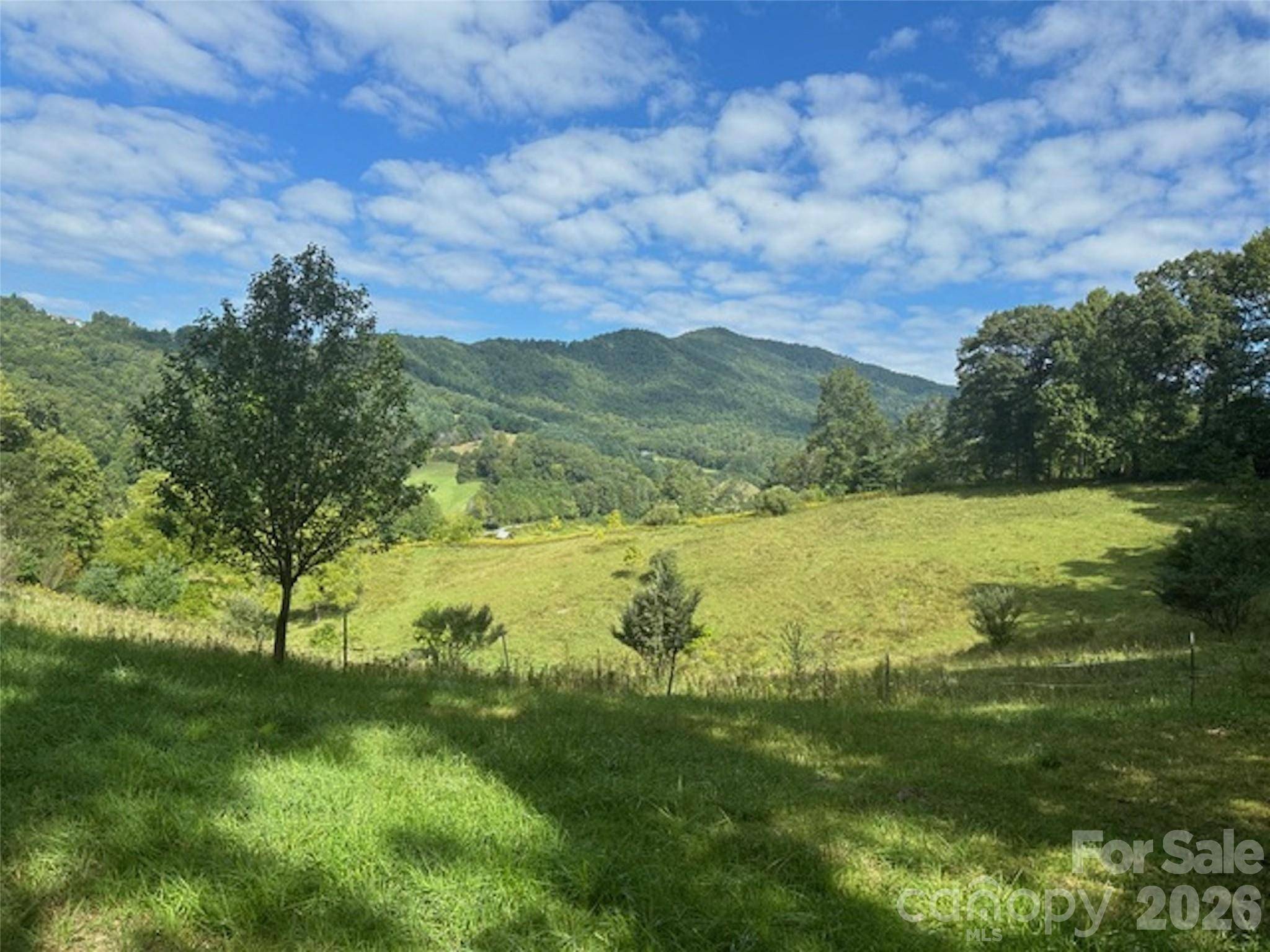 001 Shoal Pond CV, Burnsville, NC 28714