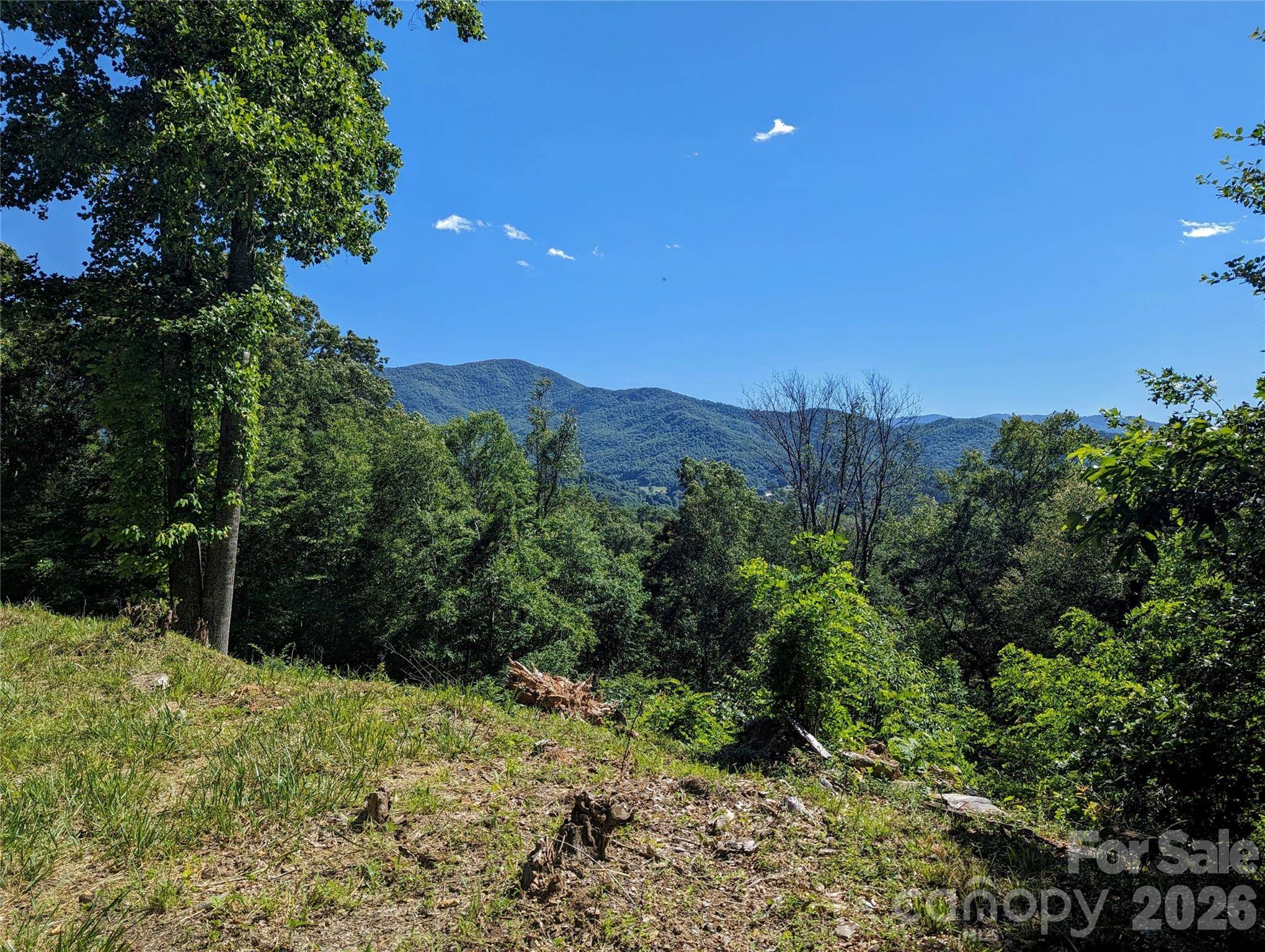 001 Shoal Pond CV, Burnsville, NC 28714