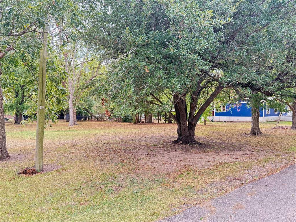 202 Paris Street, Pecan Gap, TX 75469