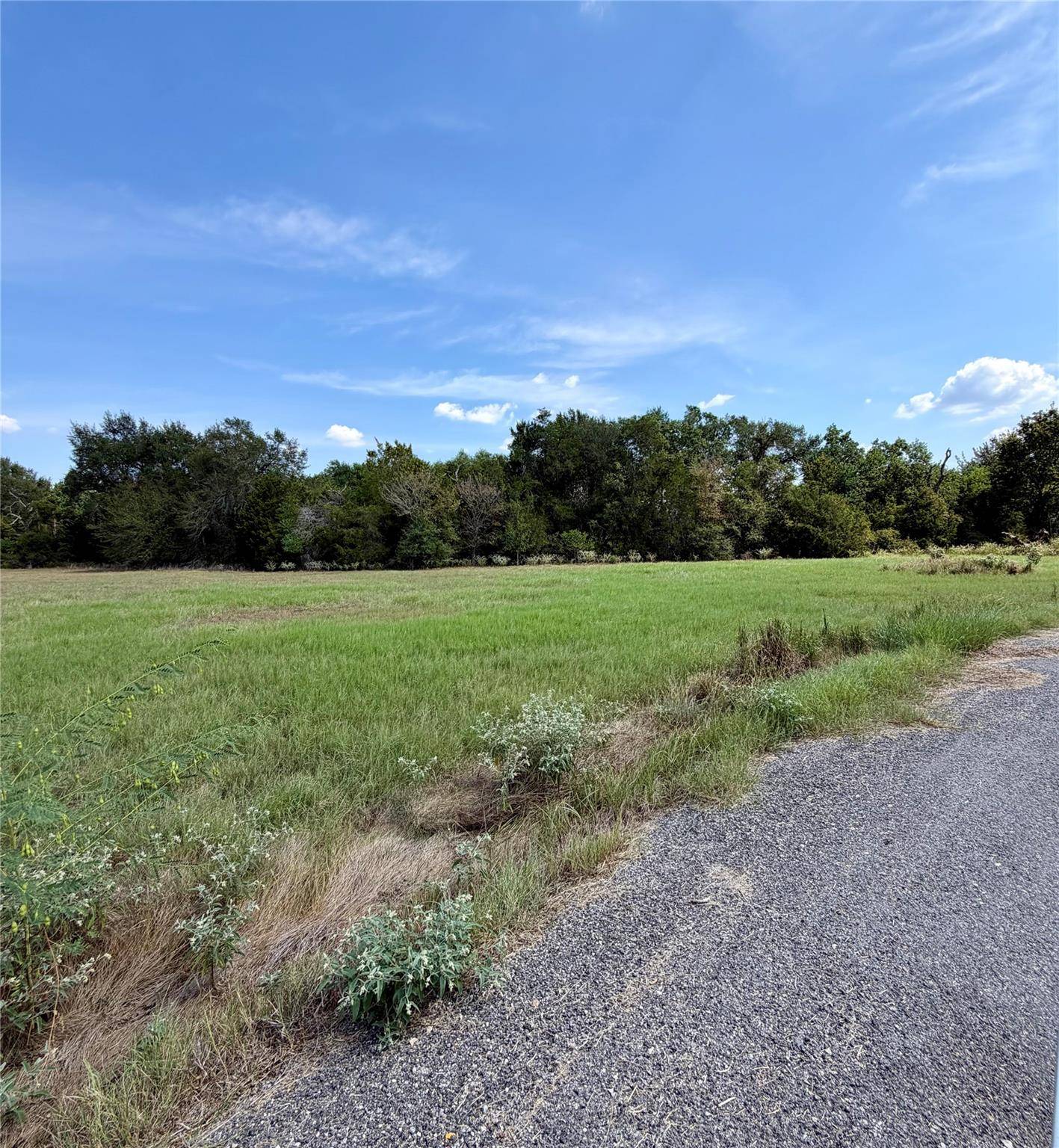 TBD Richmond Street, Mcdade, TX 78650