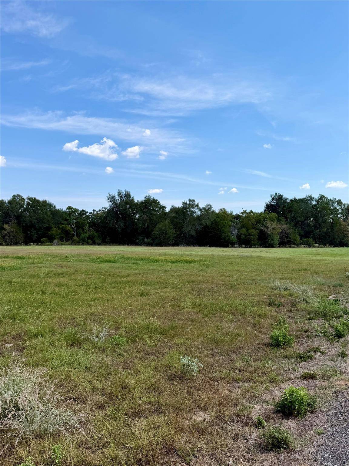 TBD Richmond Street, Mcdade, TX 78650