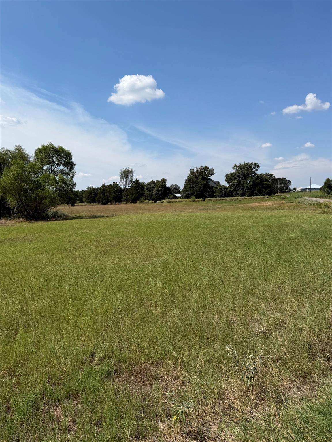 TBD Richmond Street, Mcdade, TX 78650