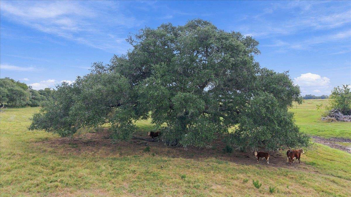 2561 Roitsch RD, Schulenburg, TX 78956