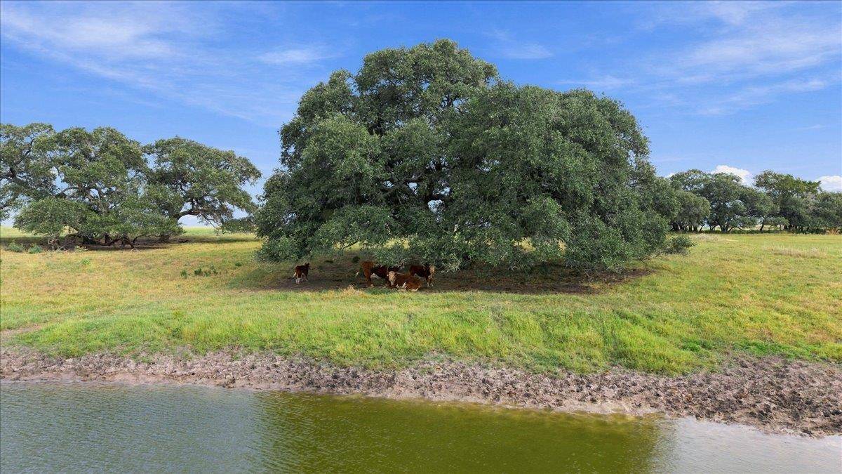 2561 Roitsch RD, Schulenburg, TX 78956