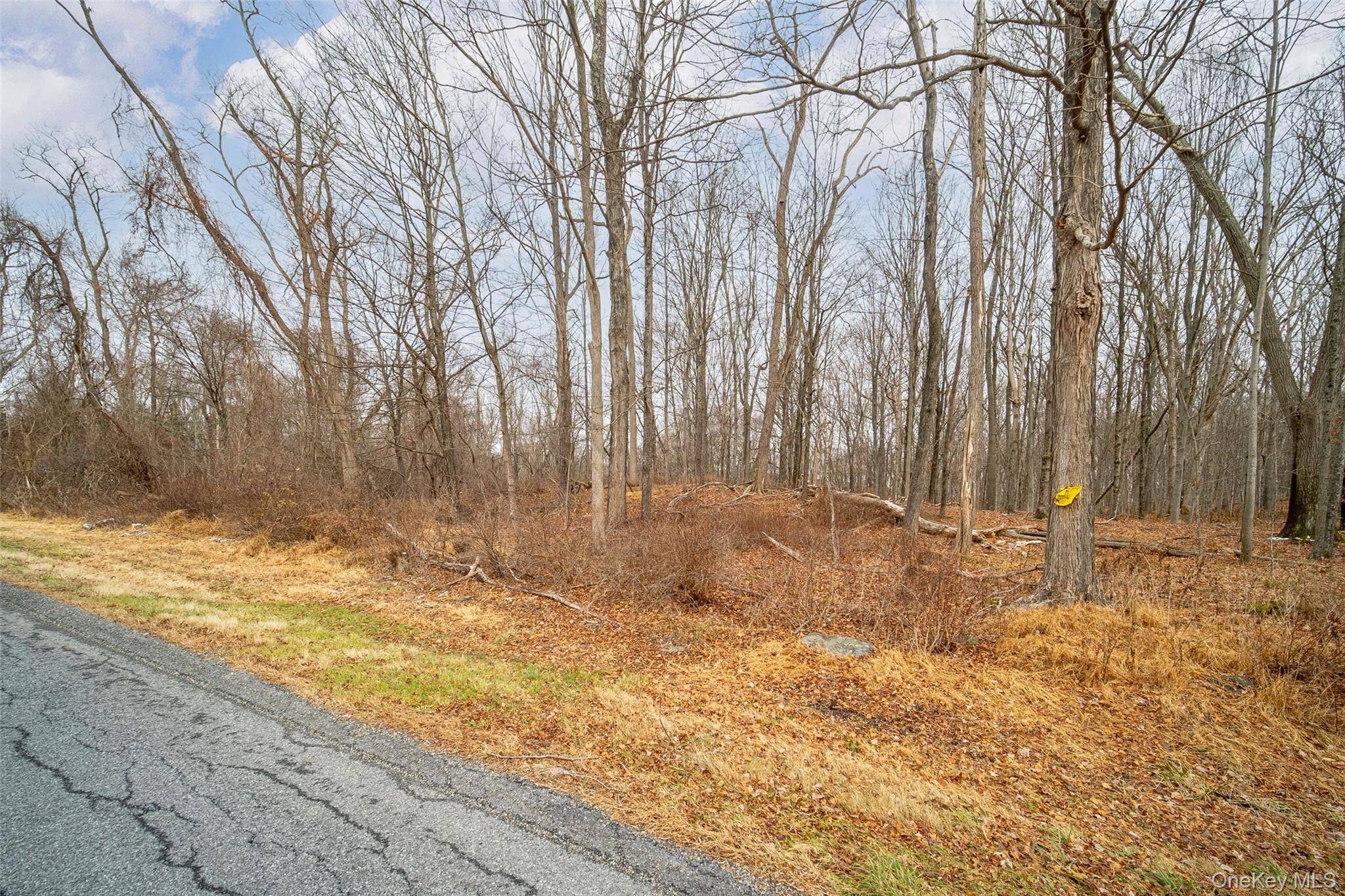 Baker RD, Hopewell Junction, NY 12533