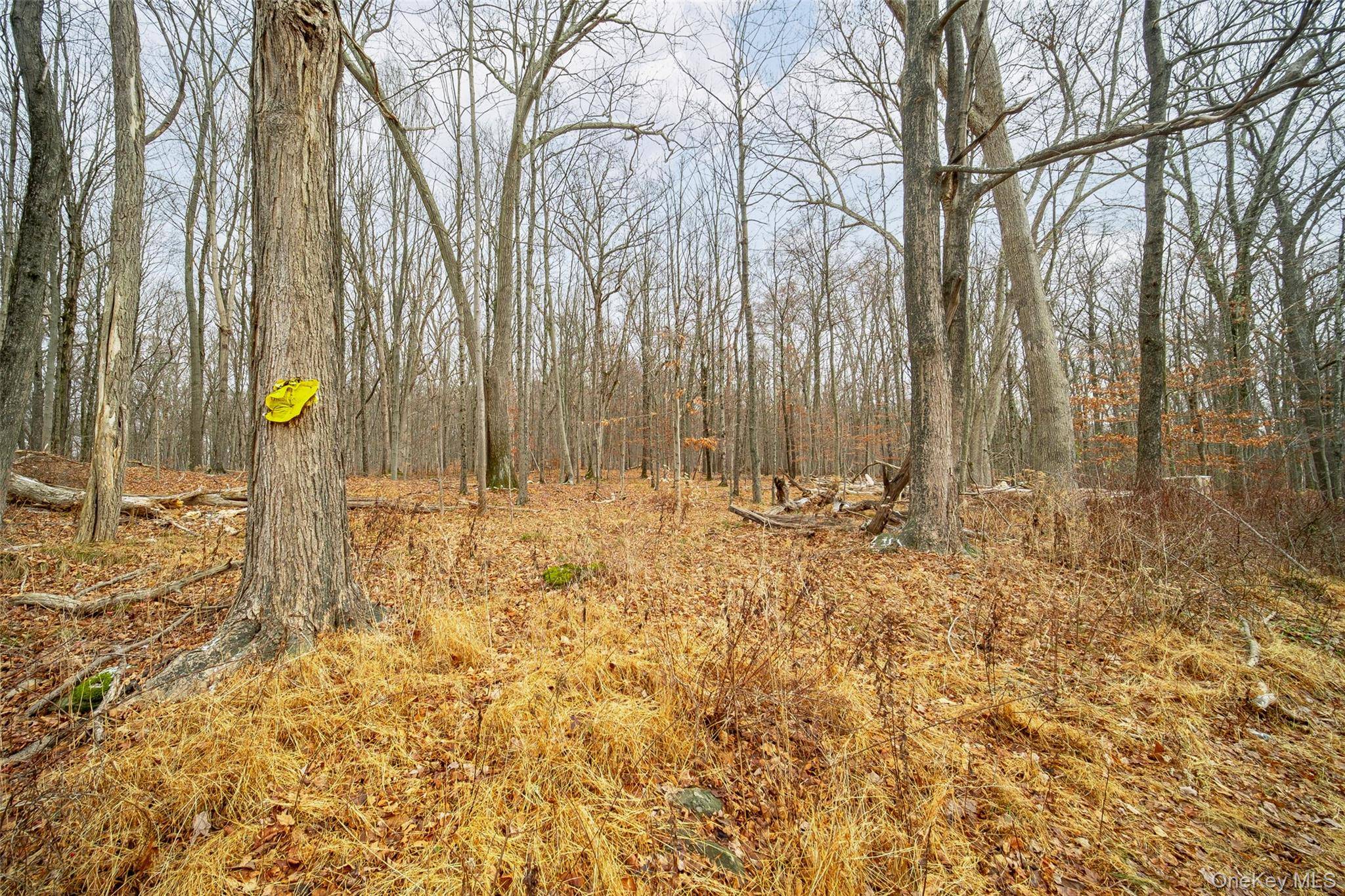 Baker RD, Hopewell Junction, NY 12533