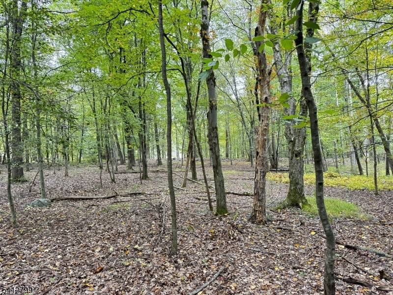 2 Brook Dr, Blairstown Twp., NJ 07825