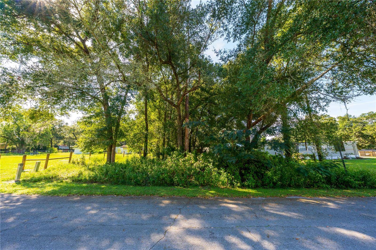 MAGNOLIA RD, Altoona, FL 32702
