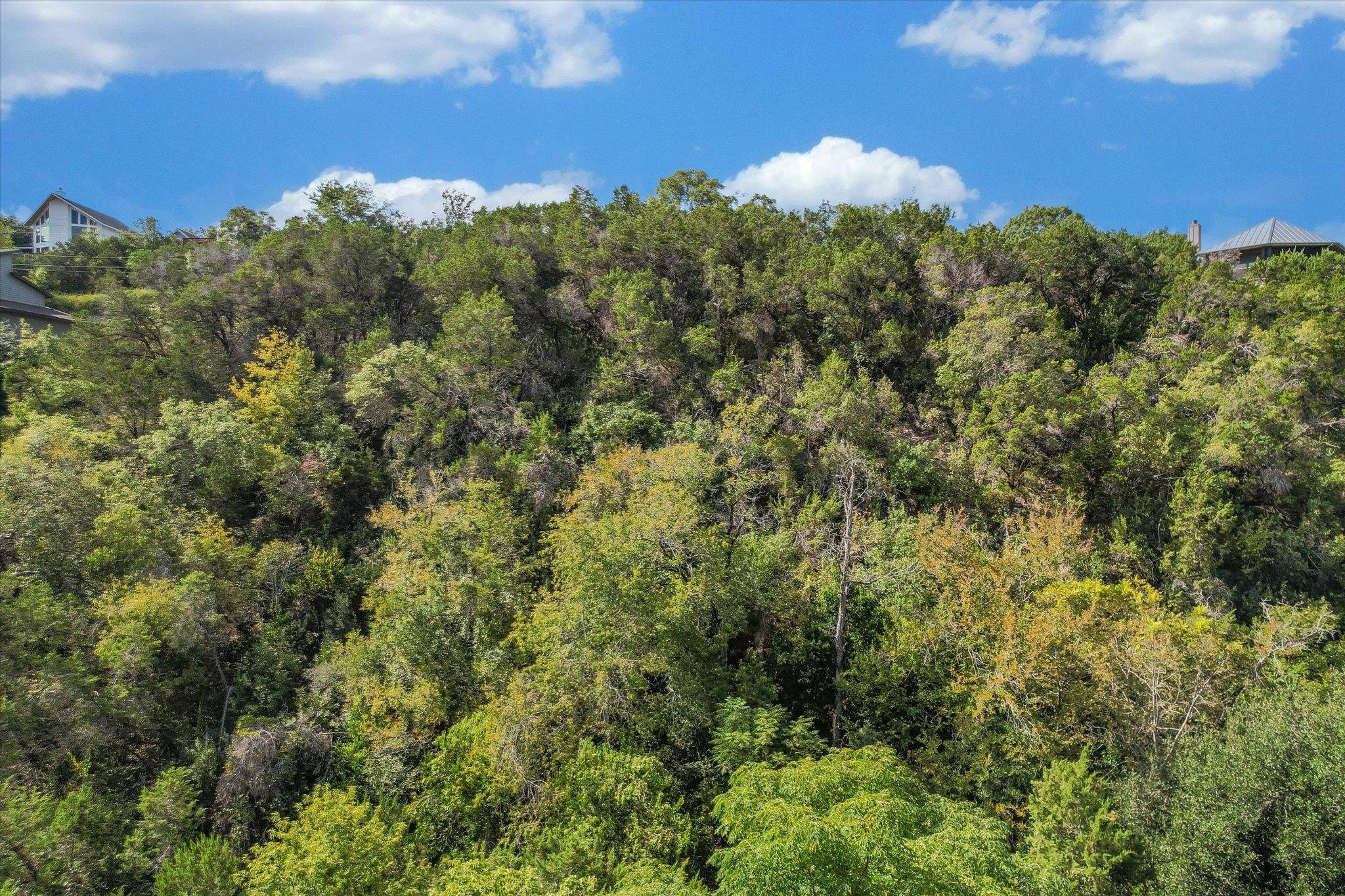 2410 Crazyhorse PASS, Austin, TX 78734