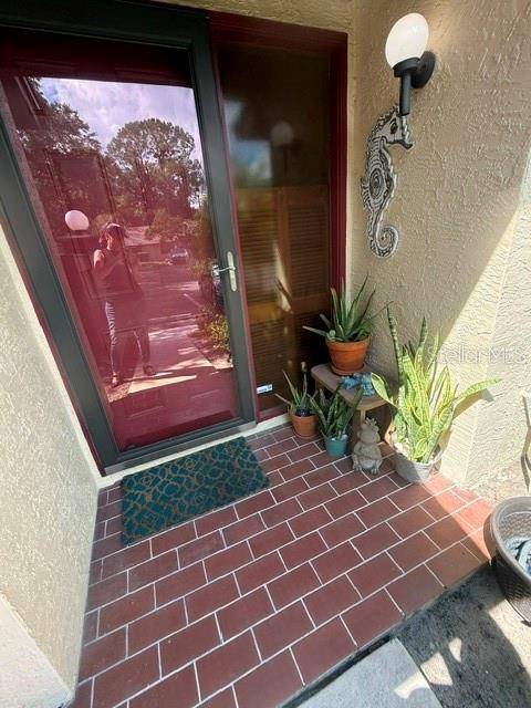 4031 BLUFF OAK CT, Palm Harbor, FL 34684