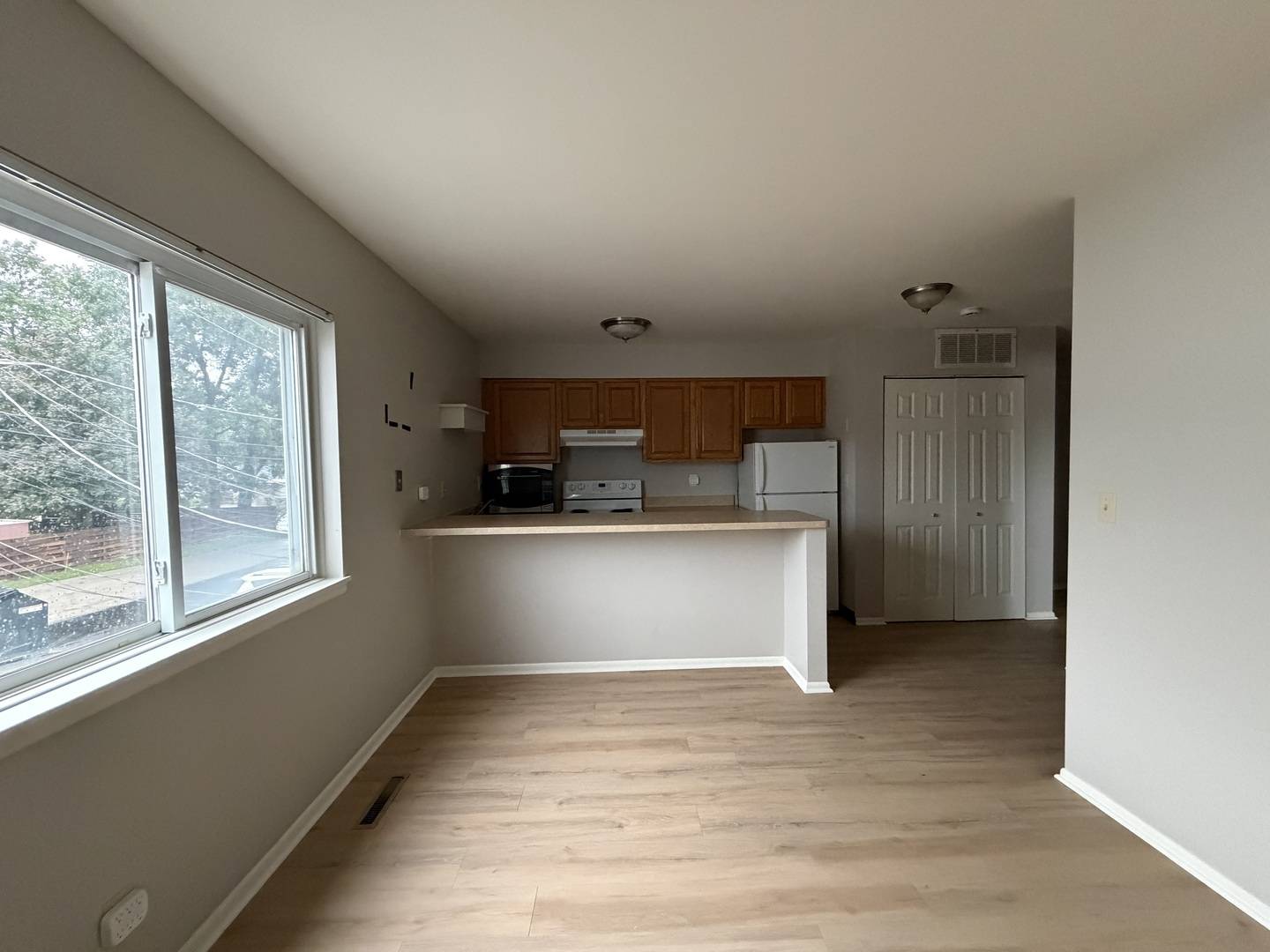 56 1/2 MAIN ST #3, Oswego, IL 60543