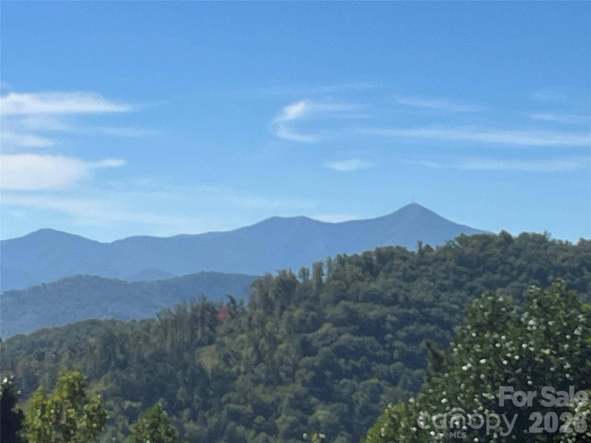 121 Hidden Meadow DR, Candler, NC 28715