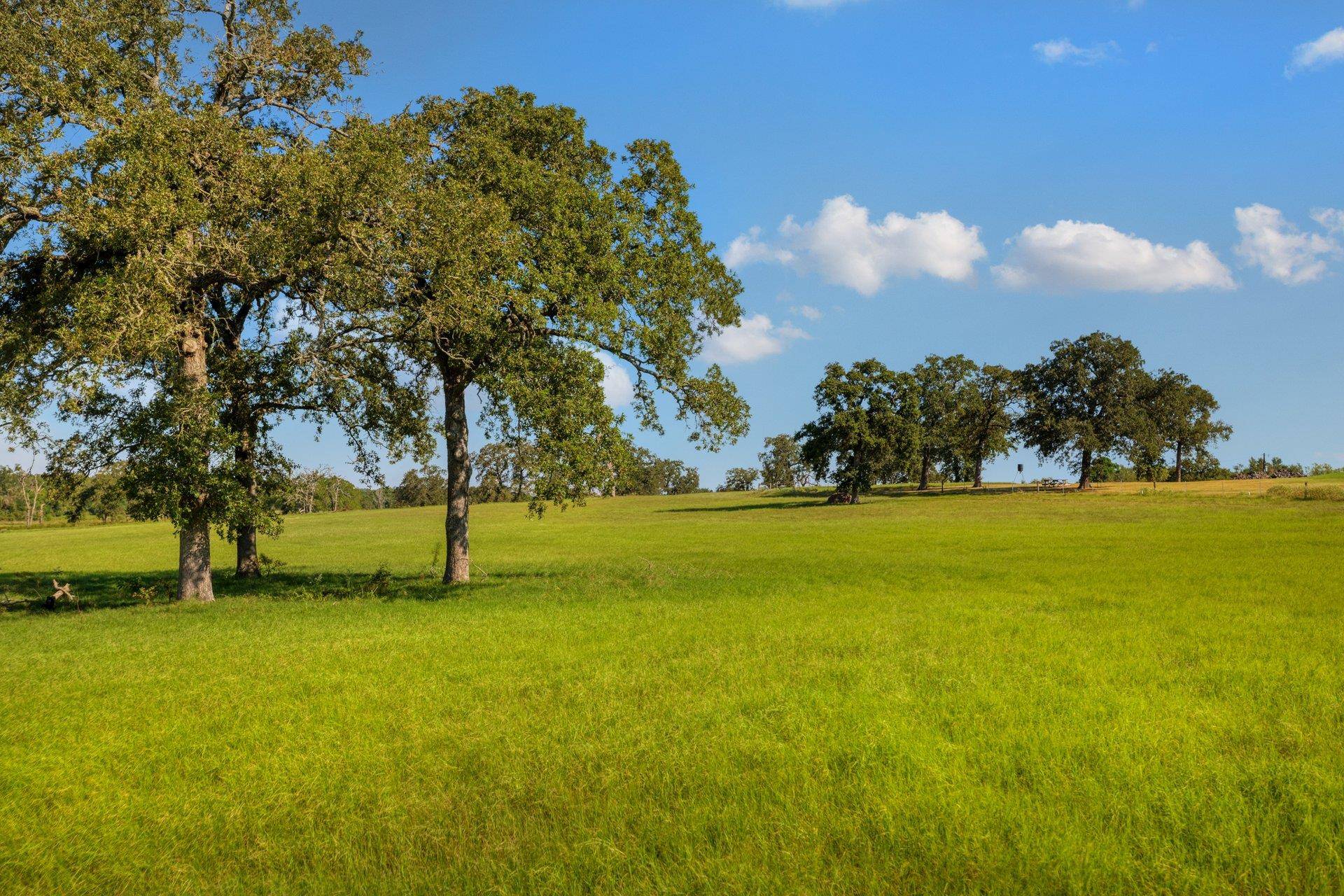 TBD CR 302 RD, Rockdale, TX 76567